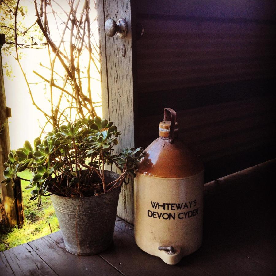 The Potters Garden B&B Rye Kültér fotó